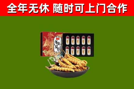 老边区回收冬虫夏草价格