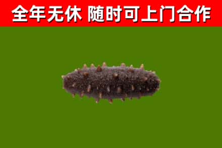 老边区烟酒回收干海参.jpg